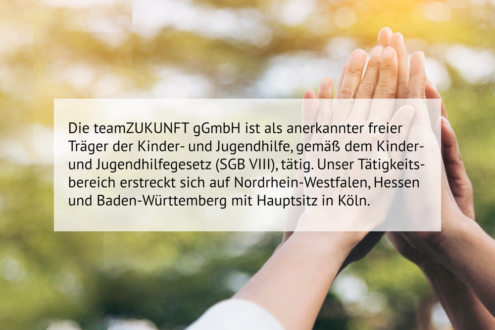 Anerkannter Träger der Kinder und Jugendhilfe